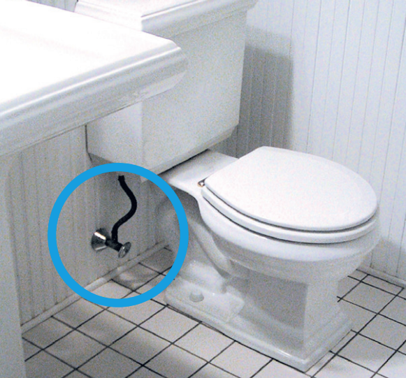 Setting up Cat Genie A.I. litter box in my bathroom