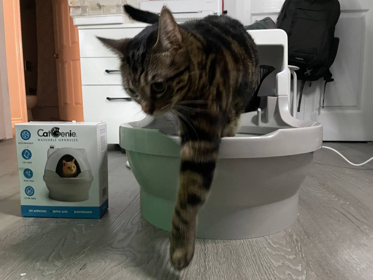 My cat did not like Cat Genie A.I. litter box
