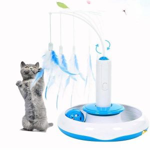 British kitten is playing with Adrance electronic feather teaser.