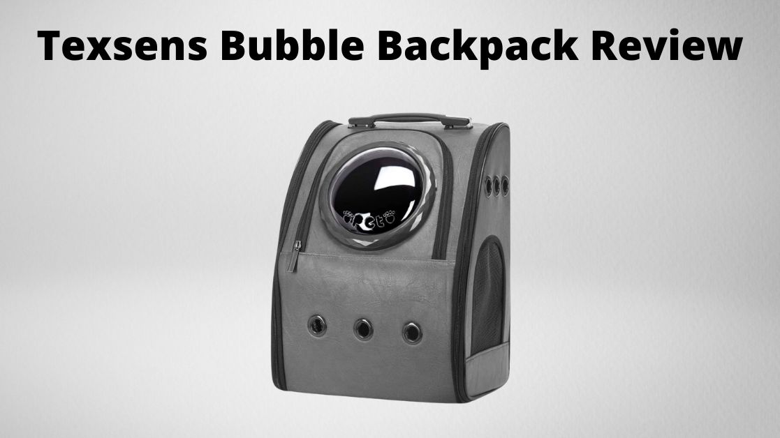 Texsens backpack review featured image