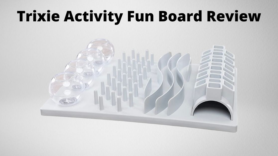 Trixie Activity Fun Board review featured image
