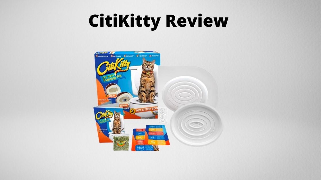 CitiKitty Cat Toilet Training Kit Review
