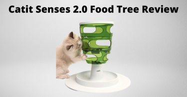 catit tree review featured image