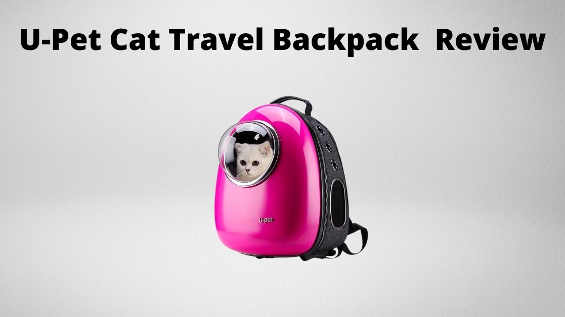 upet backpack review featured image