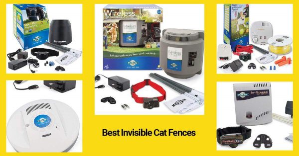 best wireless fences for cats 2019