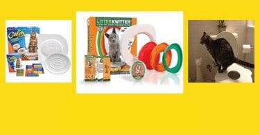 Best cat toilet training systems this year.