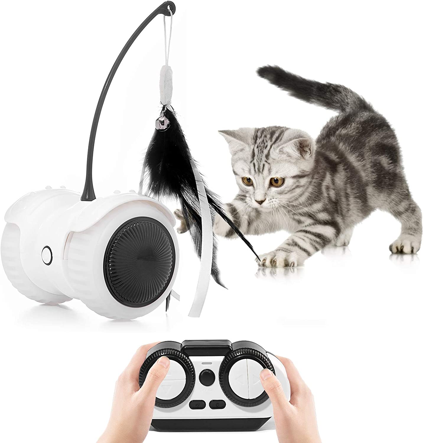 Small cat is interacted with motion activated Magkay cat toy