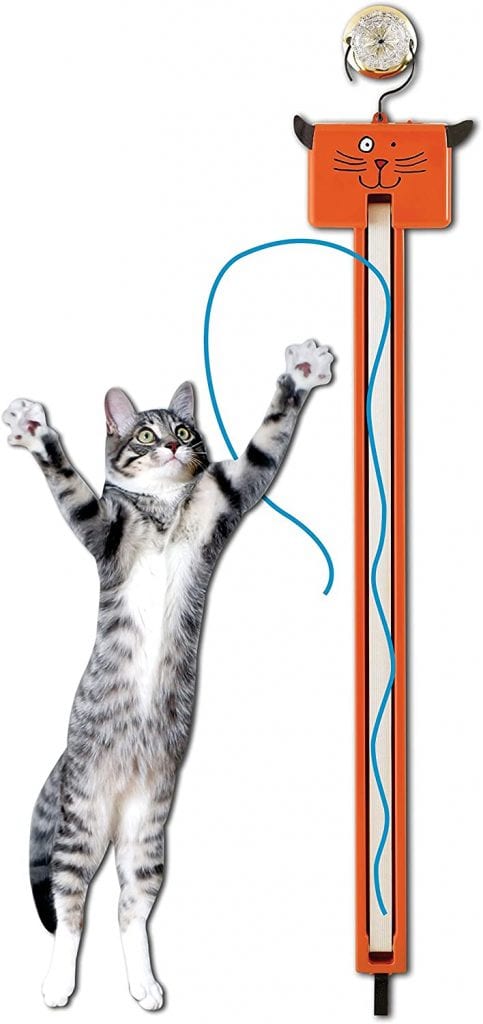  Cat is playing with automatic Moody Fling toy