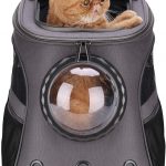 Fat ginger car is inside the Lollimeow Cat Backpack with Bubble Window 