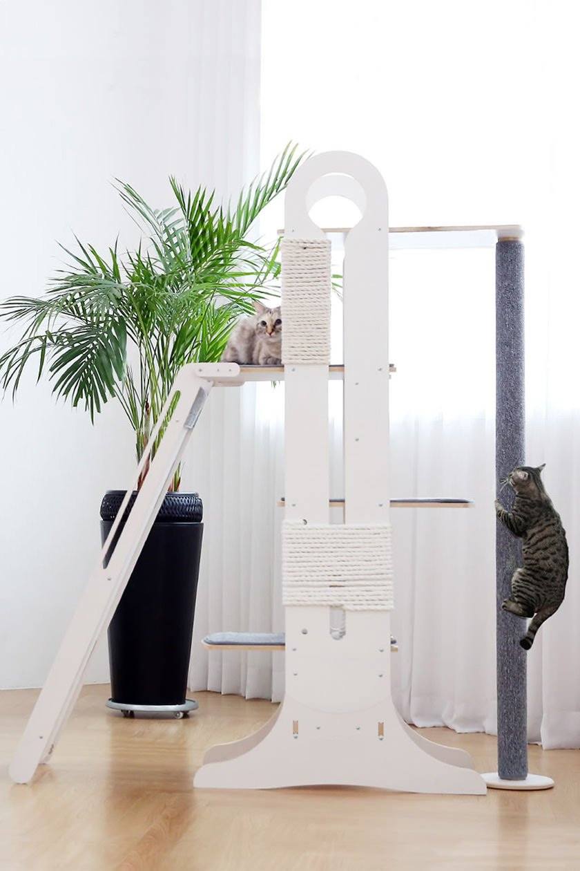 Cats exercising on Milo cat tree activity center