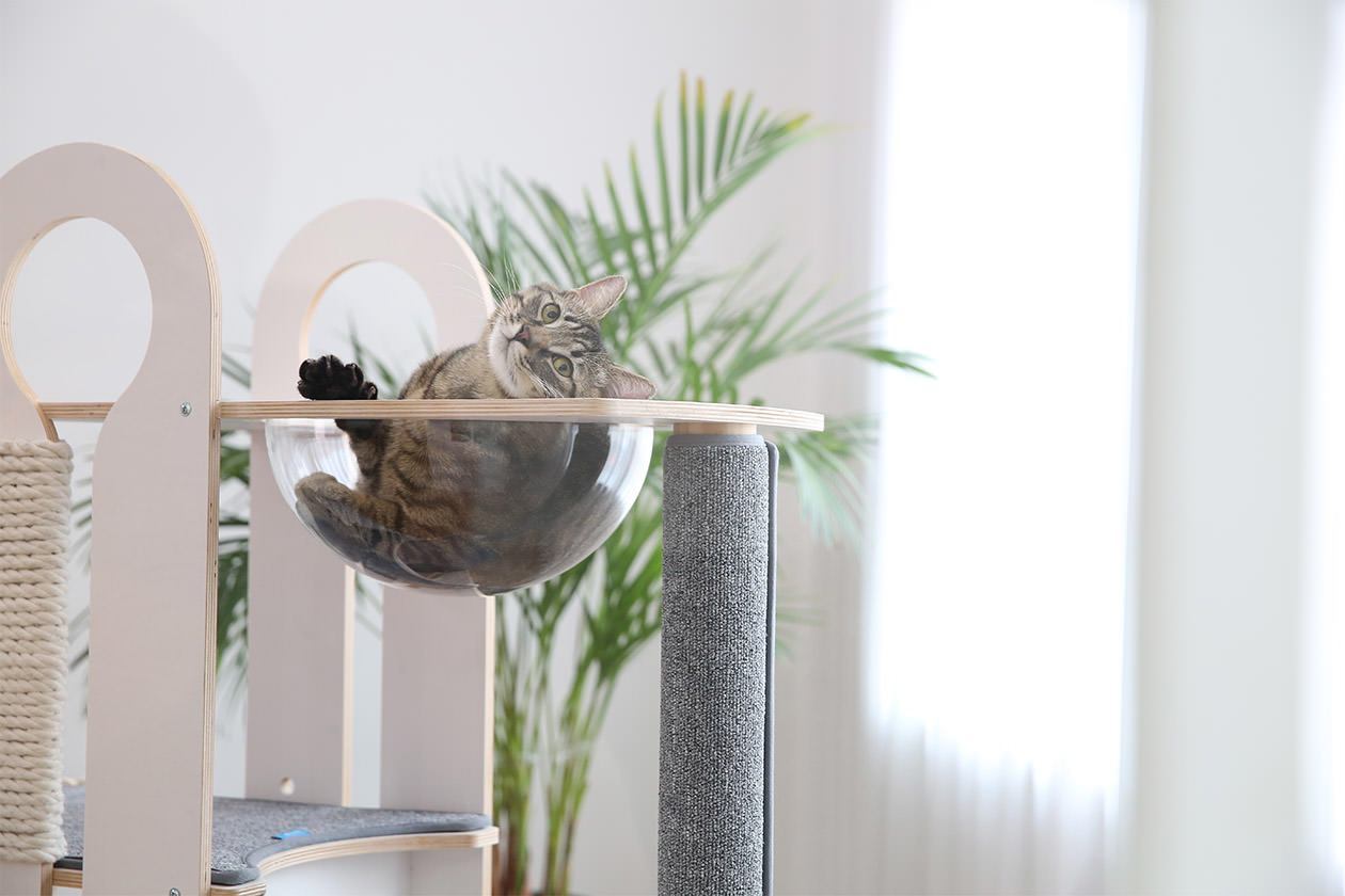 Milo cat activity center hammock