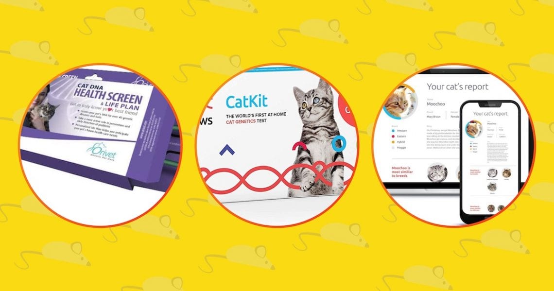3 best Cat DNA kit available.