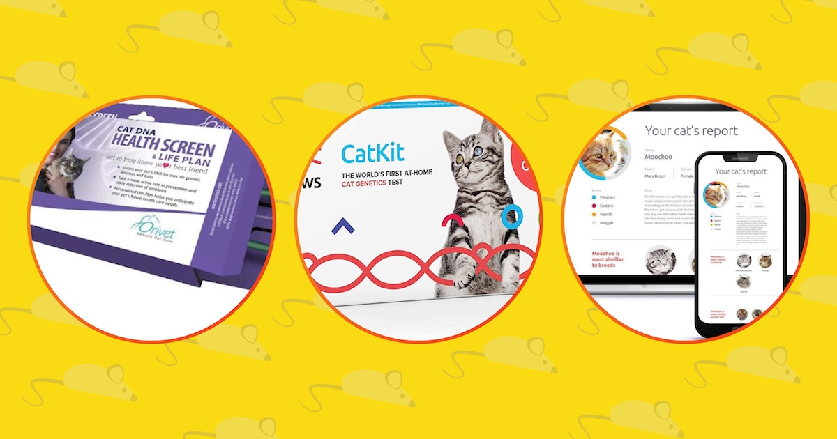 3 best Cat DNA kit available.