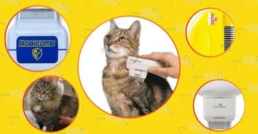 Best electric flea combs for cats