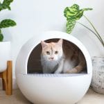 Chillx Autoegg automatic litter box for cats thumbnail