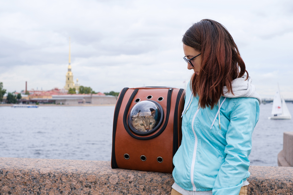 Cat Backpack Carrier on the go