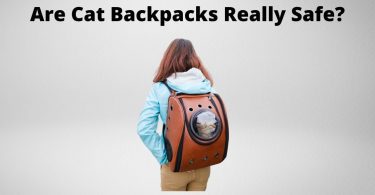 Girl walking with cat backpack