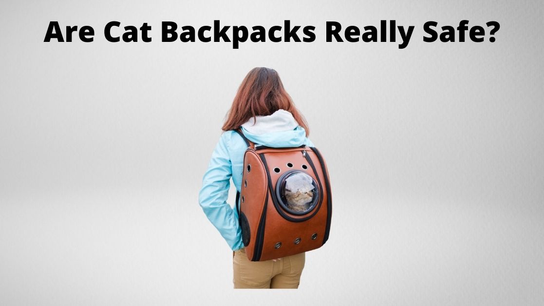 Girl walking with cat backpack