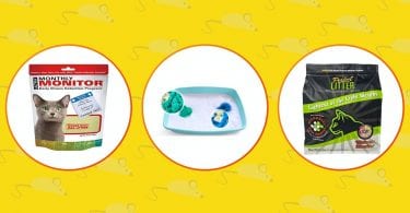 Three best health monitoring cat titters