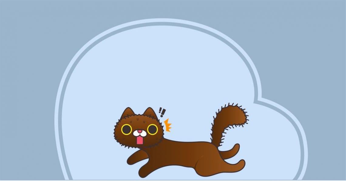 Static electricity on the cat