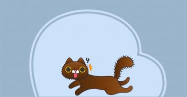 Static electricity on the cat