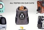 Cat backpacks that were tested by Technomeow team