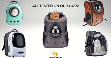 Cat backpacks that were tested by Technomeow team