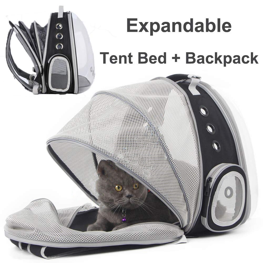 Expanding LCP backpack with cat inside
