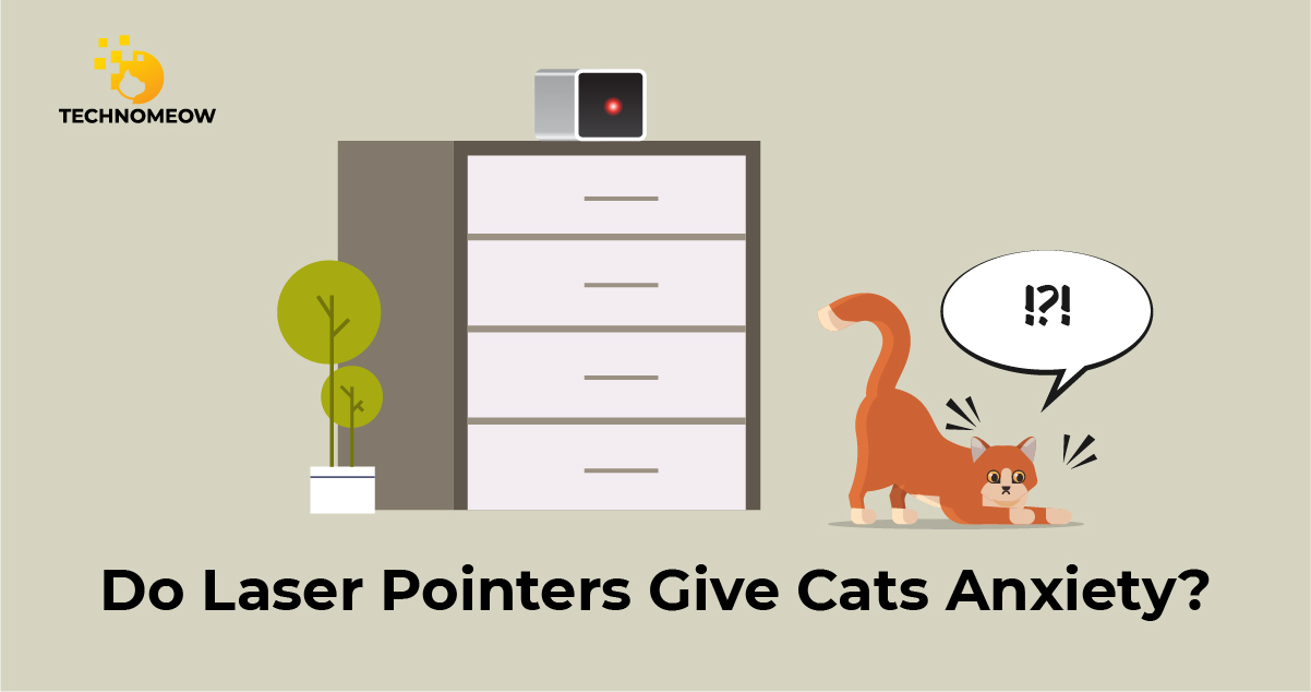Cat is anxious about the laser pointer