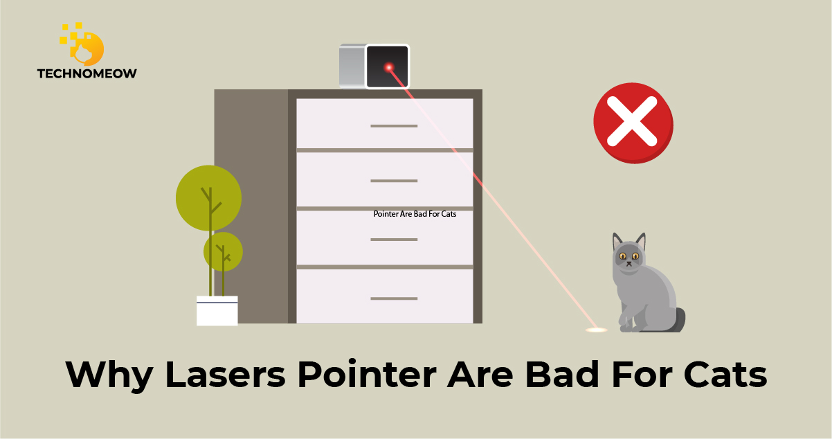 Cat is disappointed because she can't catch a laser pointer