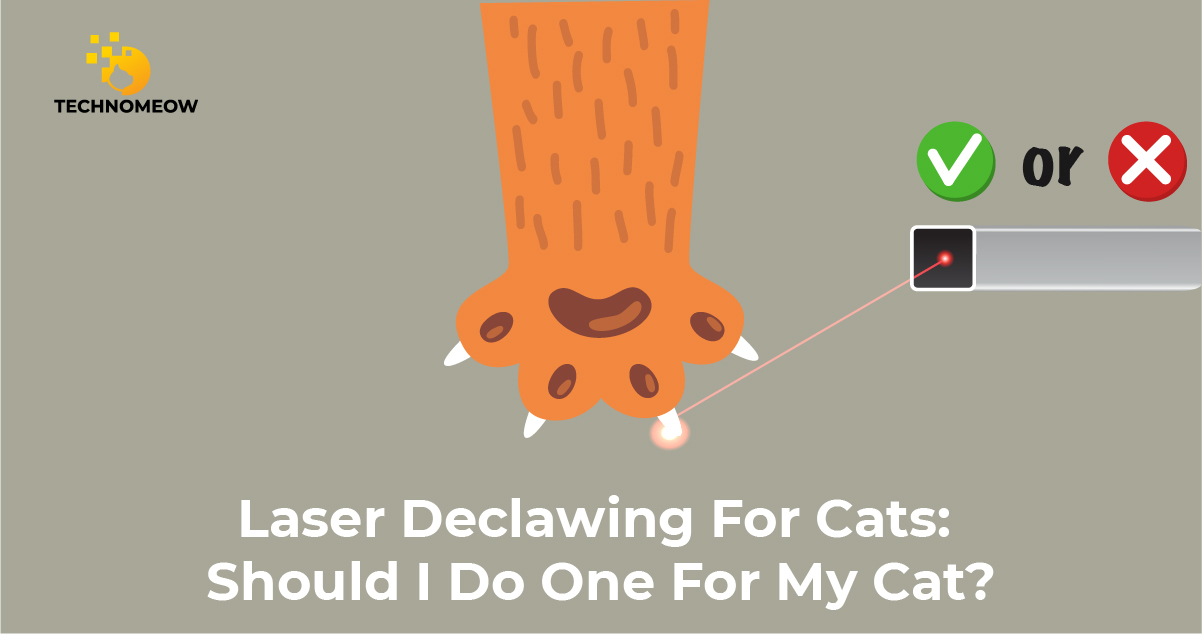 Laser declawing for cats: good or bad?
