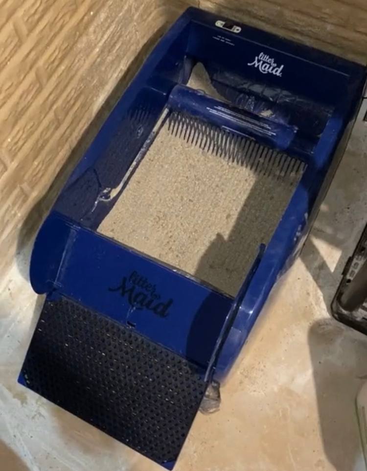 LitterMaid Self-Cleaning Cat Litter Box in my basement