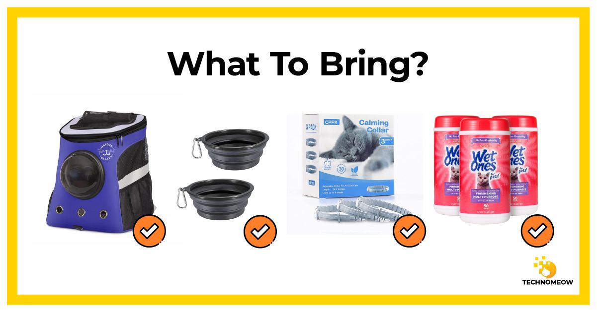 Some of the things to bring on the plane if you fly with a cat