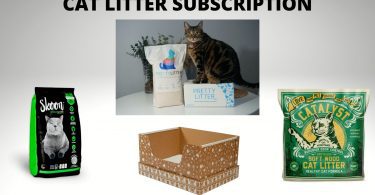 Some of the products provide cat litter subscription service