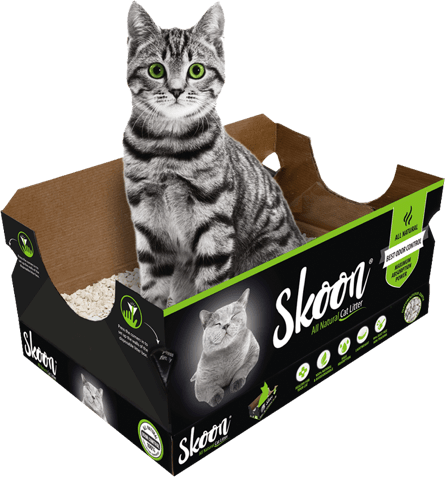 Skoon showing cat litter