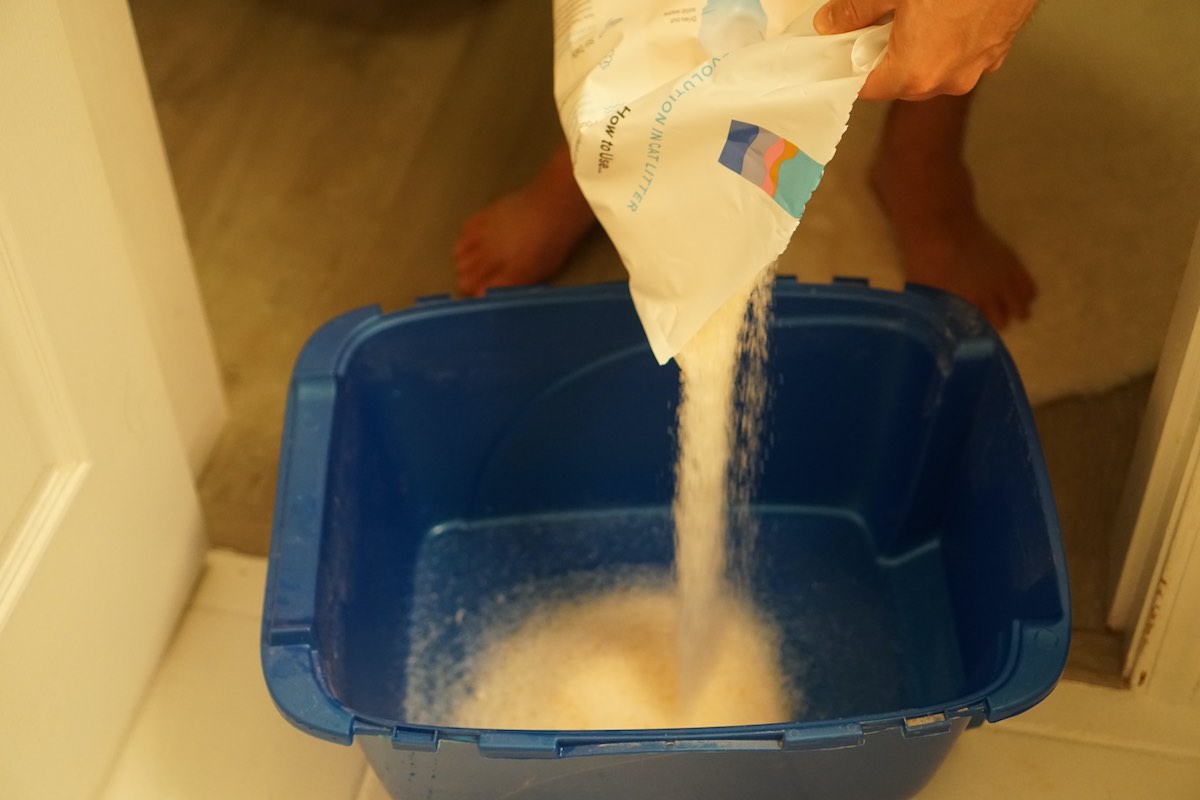 Adding Pretty Litter to my cat's litter box