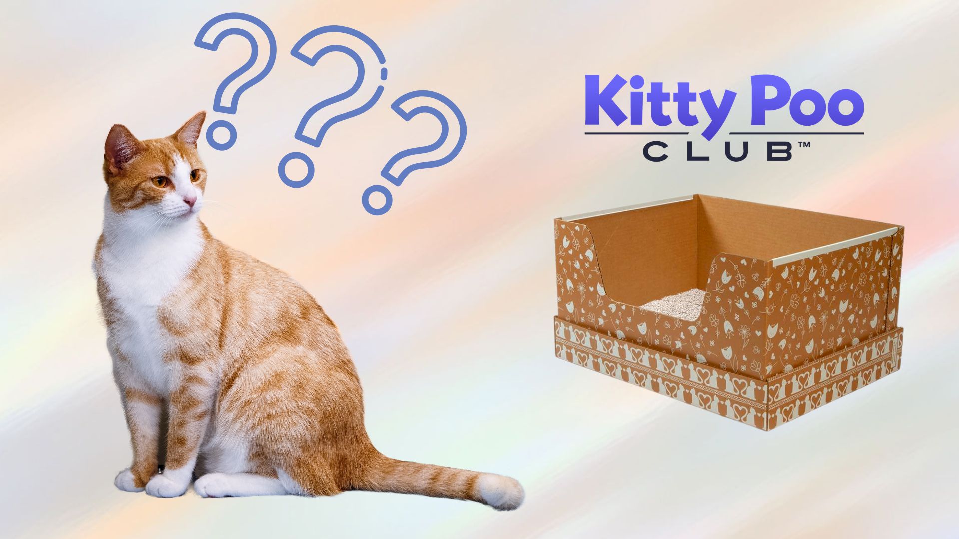 Kitty poo club faq image