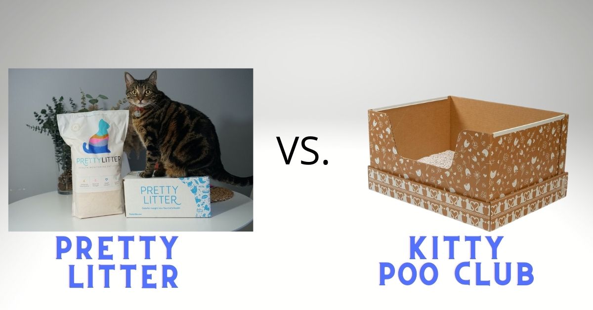 Pretty Litter Vs. Kitty Poo Club
