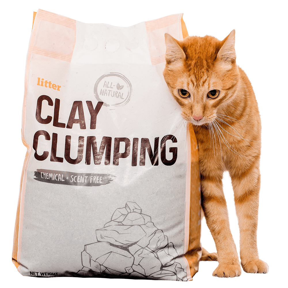 Litter robot cat litter with red hair cat behind - cat litter subscription service
