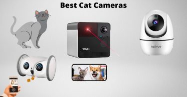 Various cat cameras