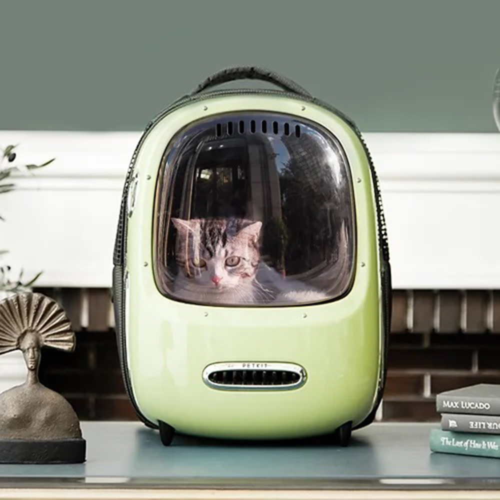 Petkit backpack size