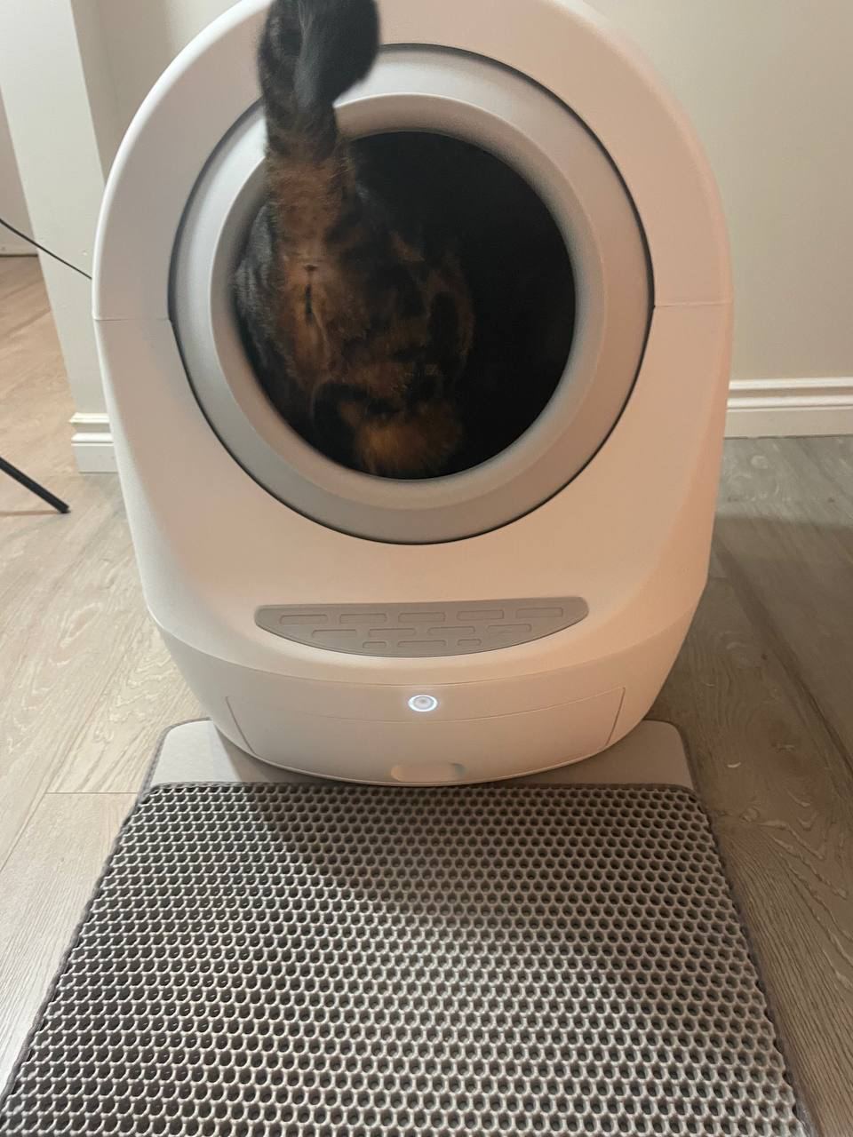 Ma cat is using Leo's Loo Too automatic litter box
