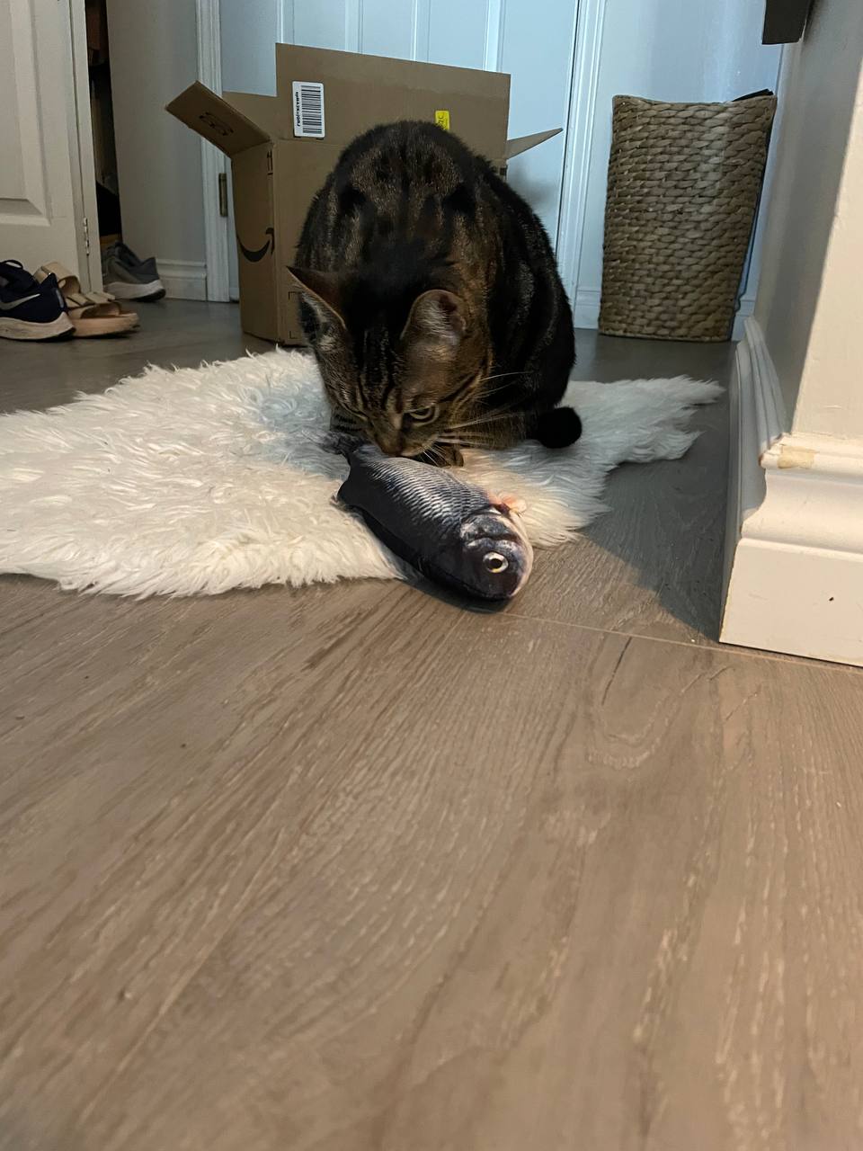 My cat is playing with dancing fish electronic toy