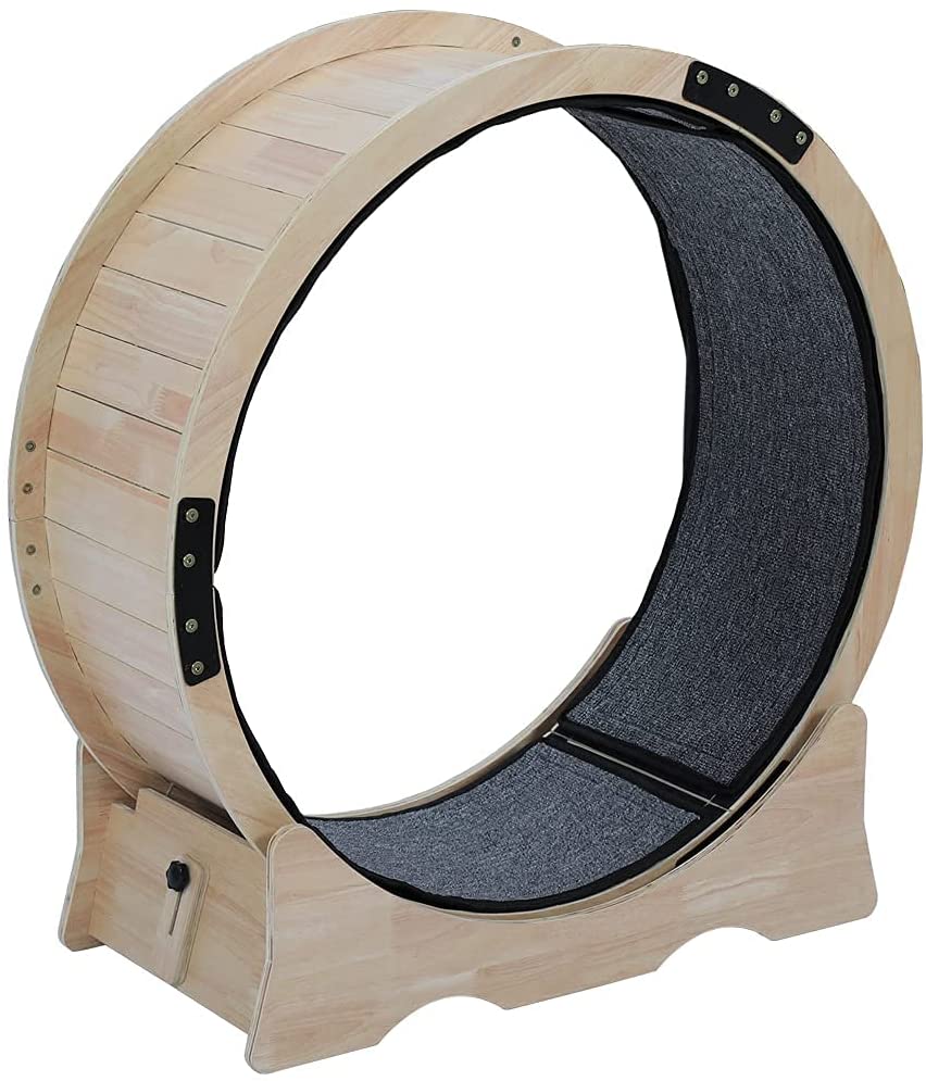 Balemaue Cat Exercise Wheel 