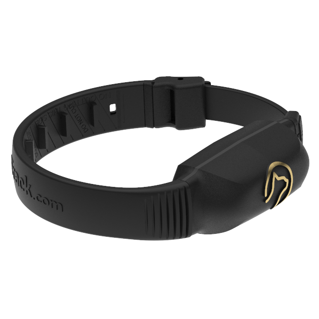 Pawtrack GPS cat collar itself