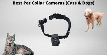 Best cat collar cameras featured image