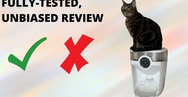 Feeder robot review featured image