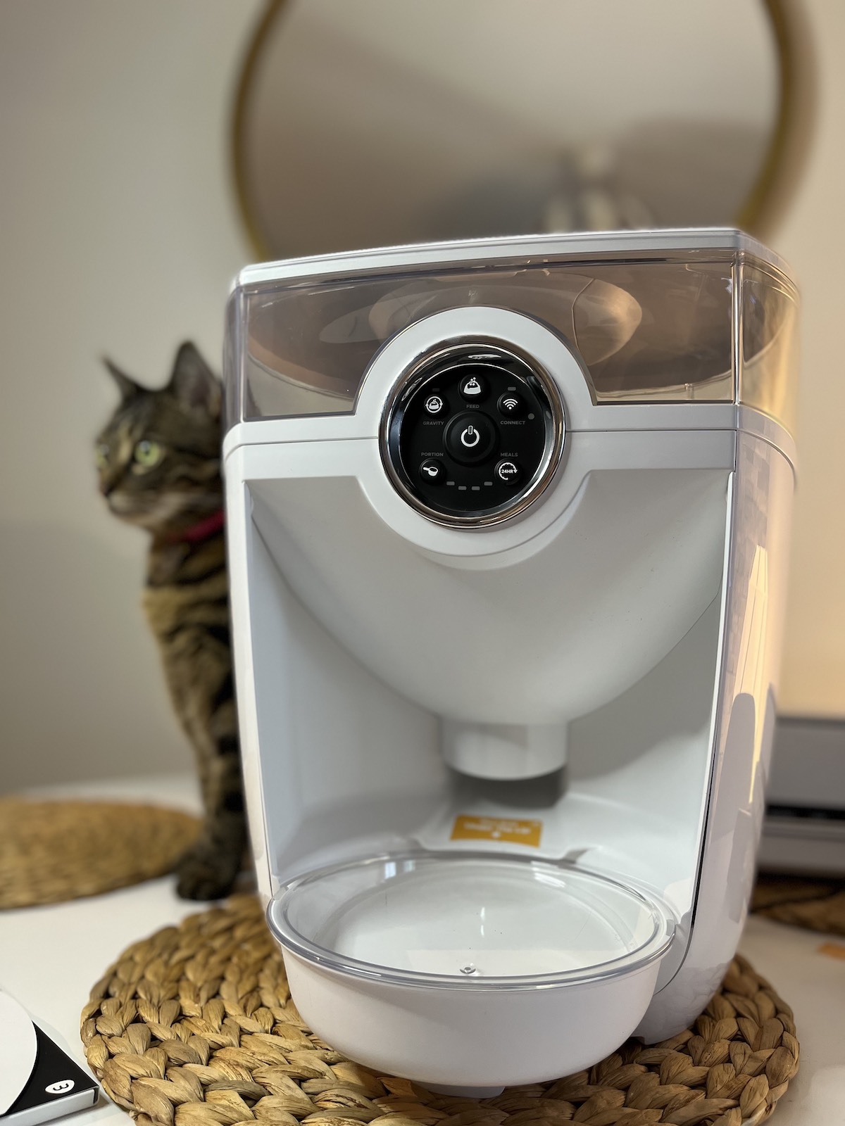 Feeder robot on the table