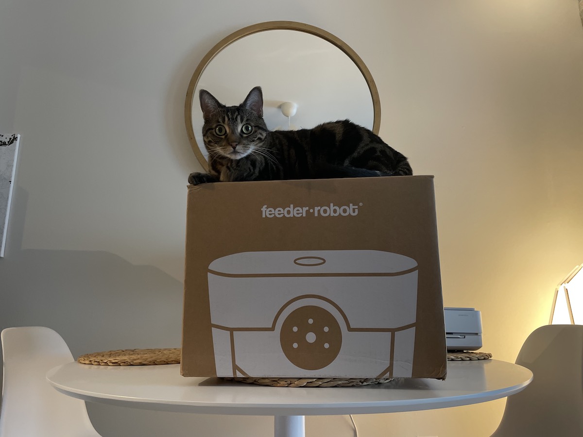 My cat Fiona is lying on Feeder Robot product box