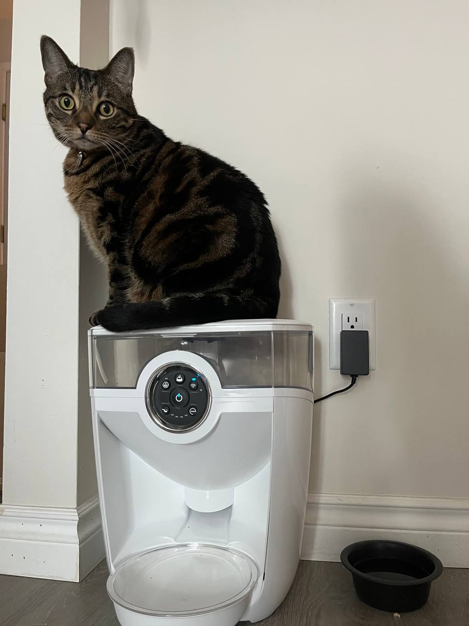 My cat is sitting on Feeder Robot